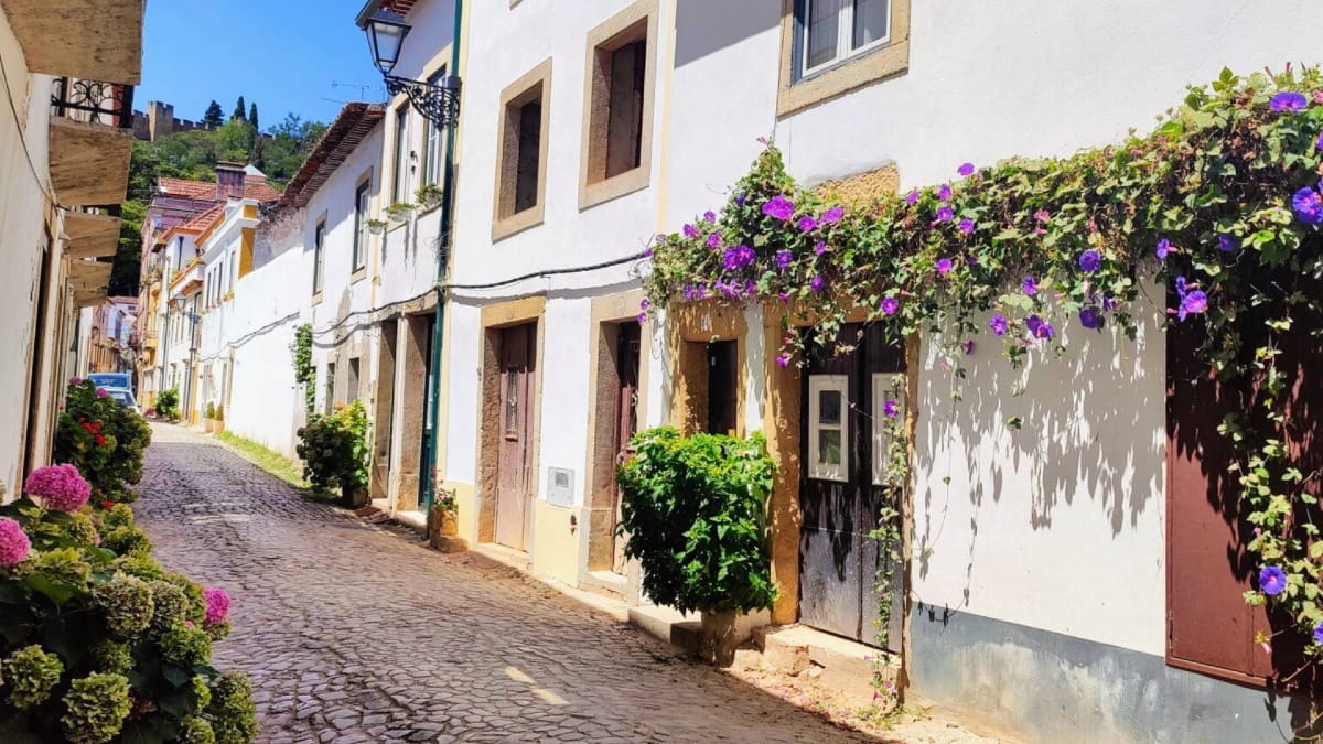 Zl9s private tomar walking tour jewish quarter and castle view