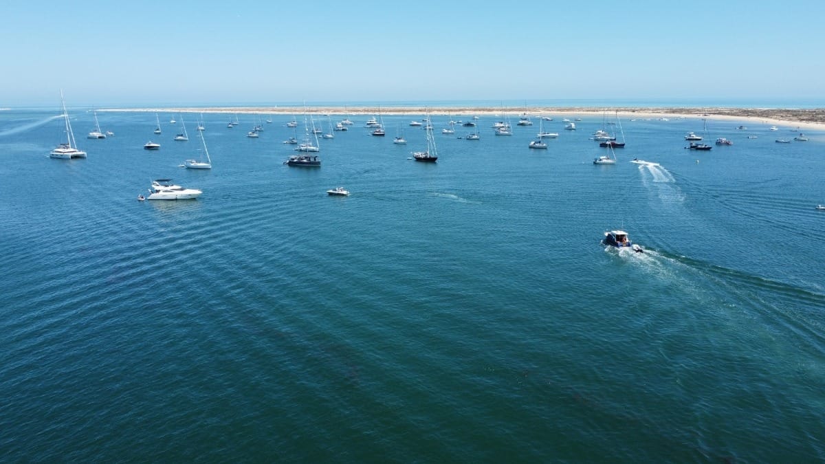 aMVJ ria formosa lagoon half day faro boat tour