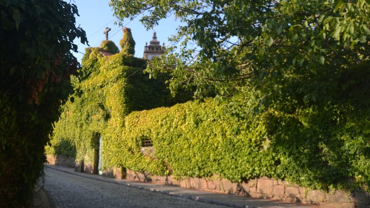 Déjeuner traditionnel dans une quinta locale de la Vallée du Douro