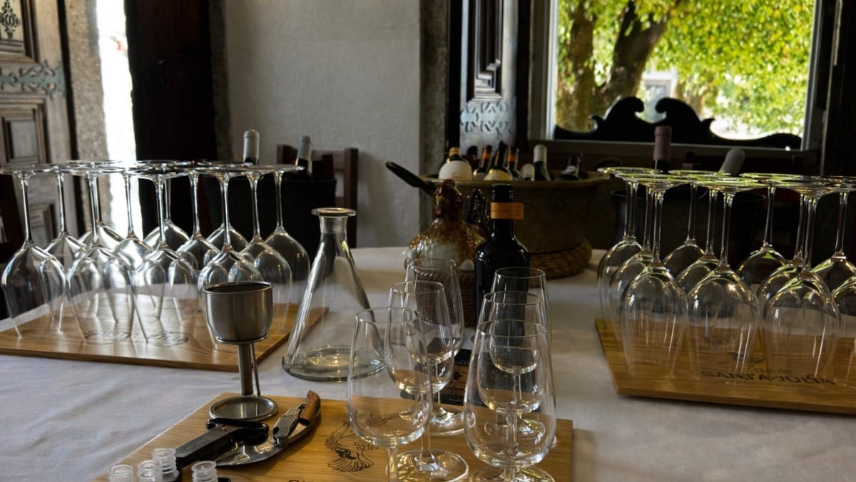 Prepare to taste Douro DOC wines and aged Port wines in an intimate private setting