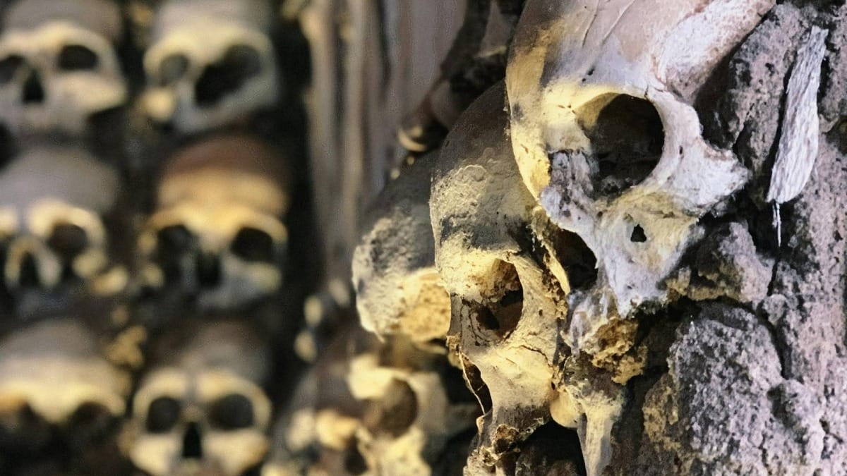 Un primer plano detallado de los cráneos y huesos que forman la fascinante estructura de la Capilla de los Huesos de Évora, destacando su carácter único y sugerente.
