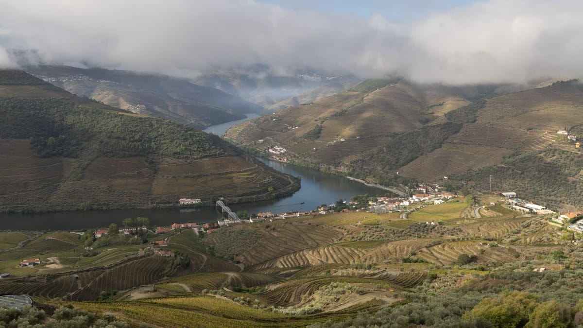cZpX winter hiking tour pinhao douro