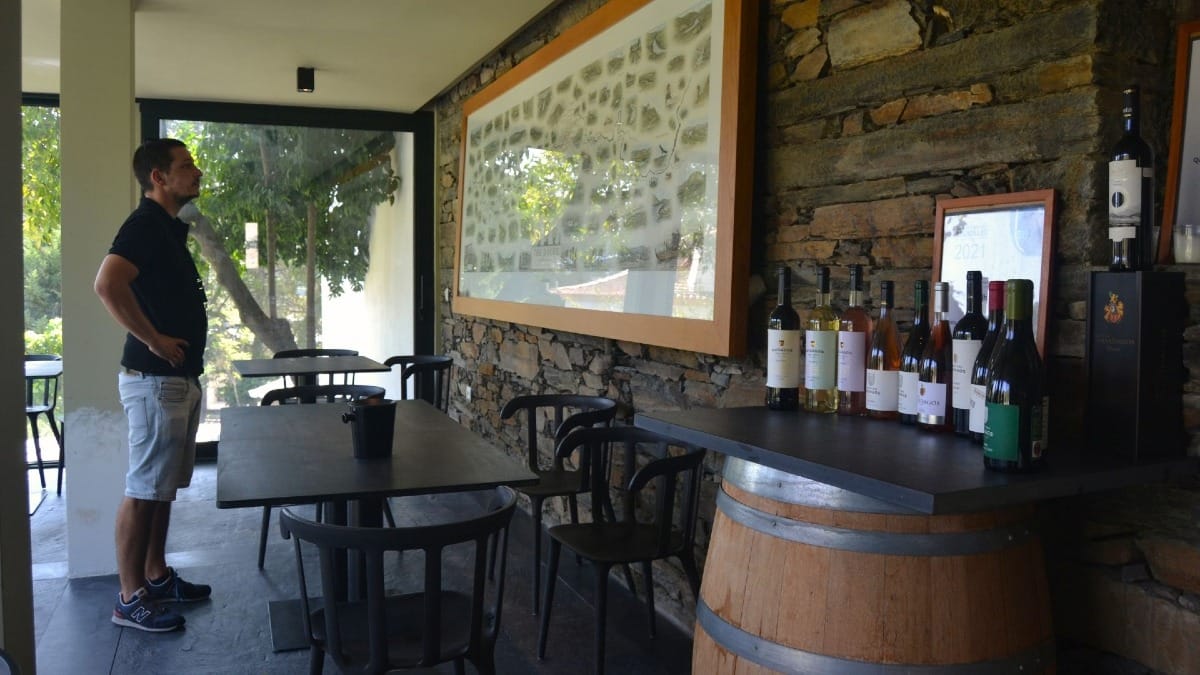 Sala de provas da Quinta dos Avidagos no Vale do Douro