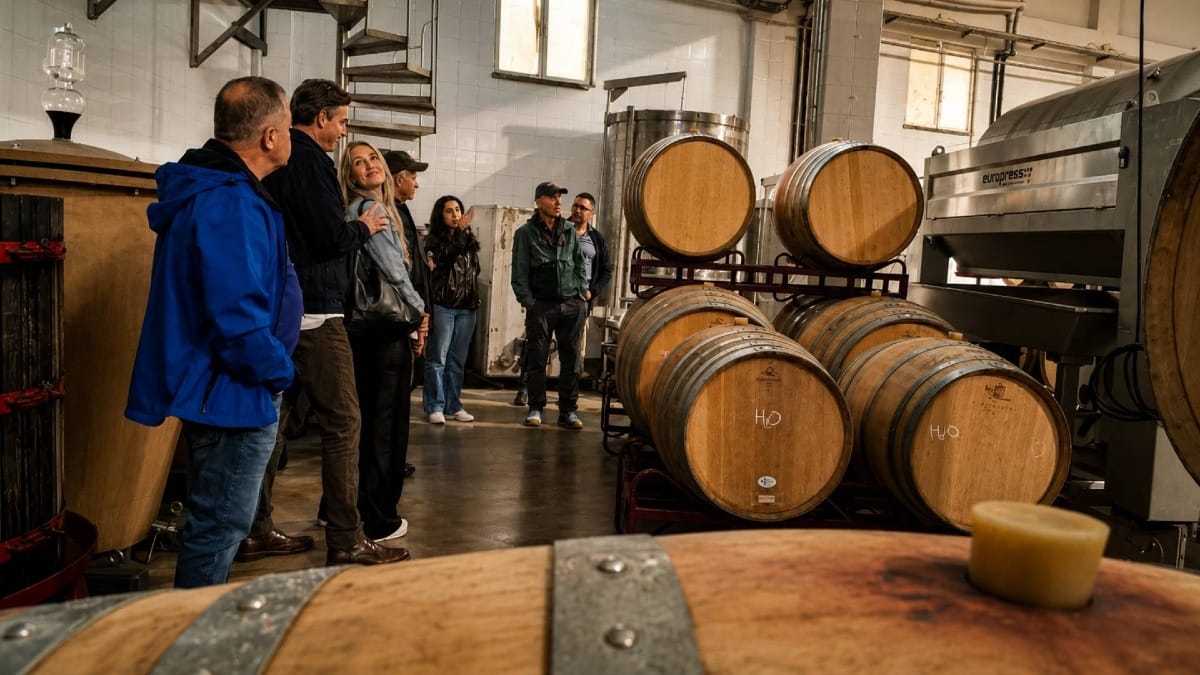 Discover the winemaking process during a guided tour of the estate's cellar