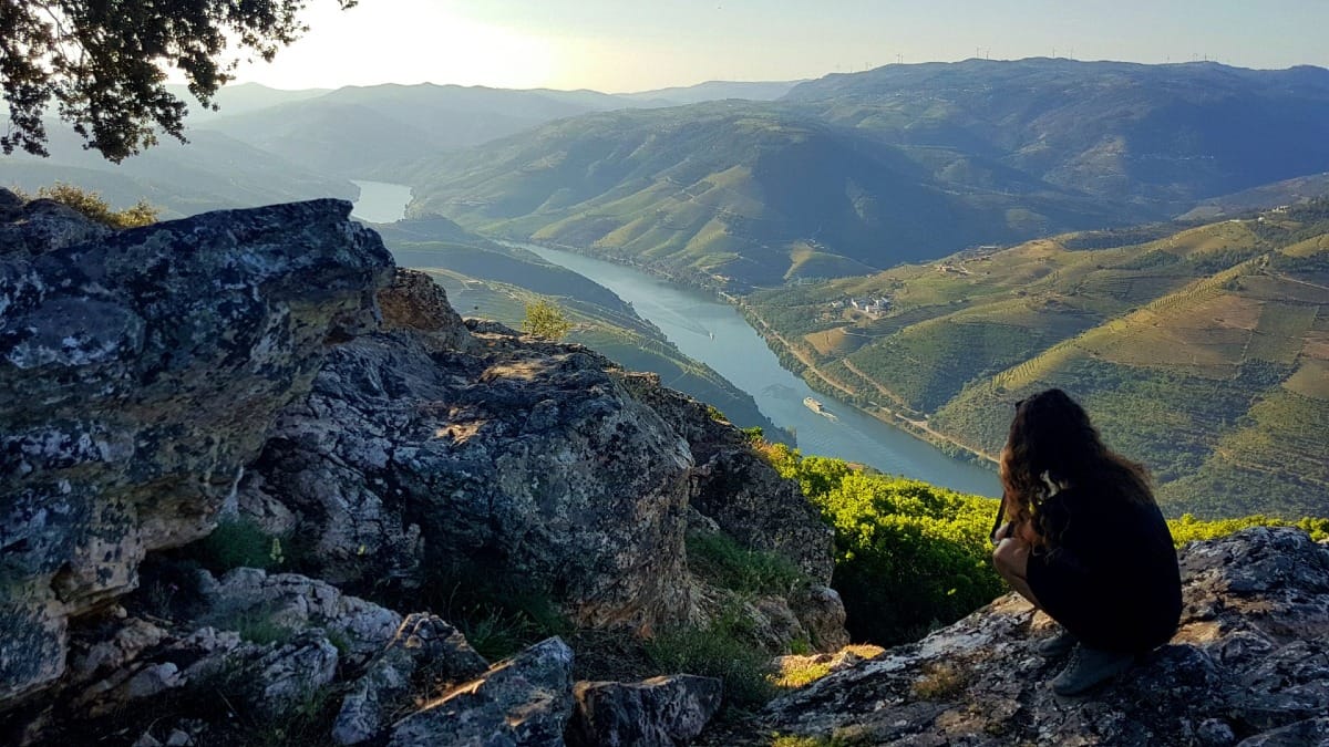Point de vue panoramique sur la Vallée du Douro et le fleuve Douro lors d'une visite guidée dans la Vallée du Douro au départ de Porto avec Cooltour Oporto