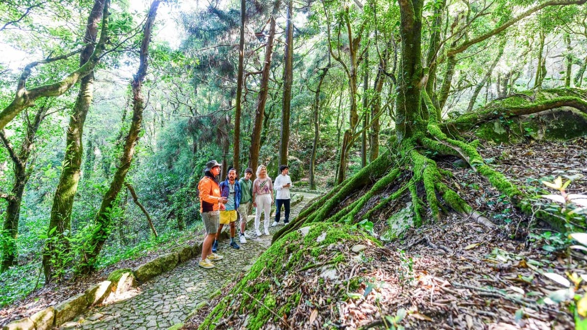 Explorando los encantadores bosques de Sintra a pie durante una parada panorámica