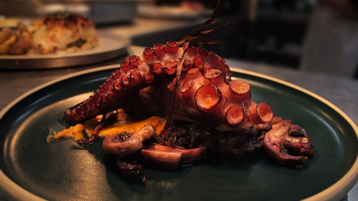 Enjoy a delicious octopus dish during a Live Fado Dinner Show and Night Tour at a traditional restaurant in Porto with Cooltour Oporto.