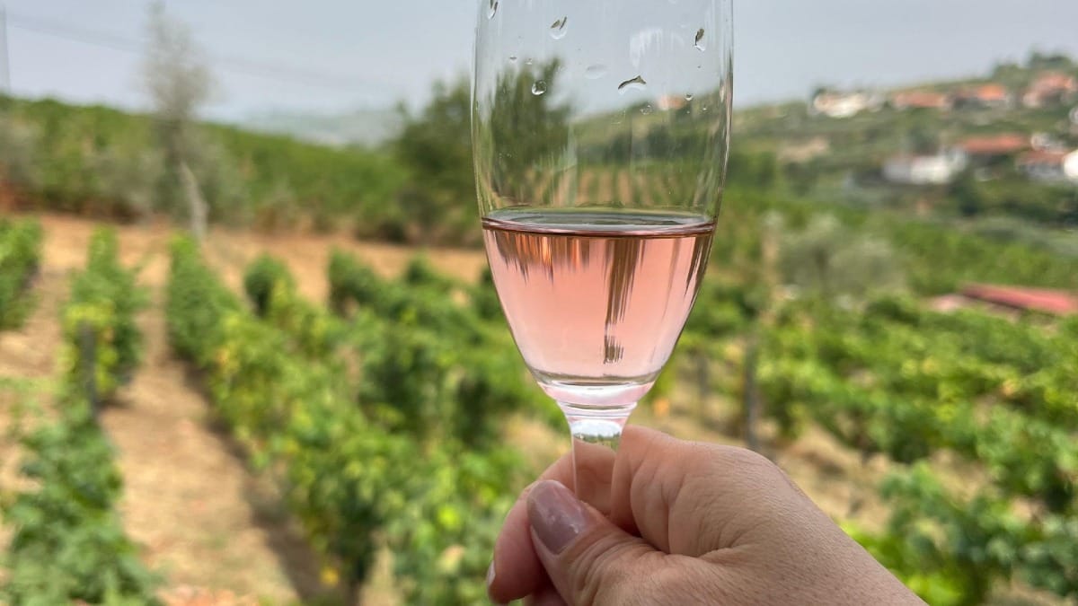 Brinde con una copa de rosado entre las viñas en nuestra inmersiva experiencia vinícola en el valle del Duero.