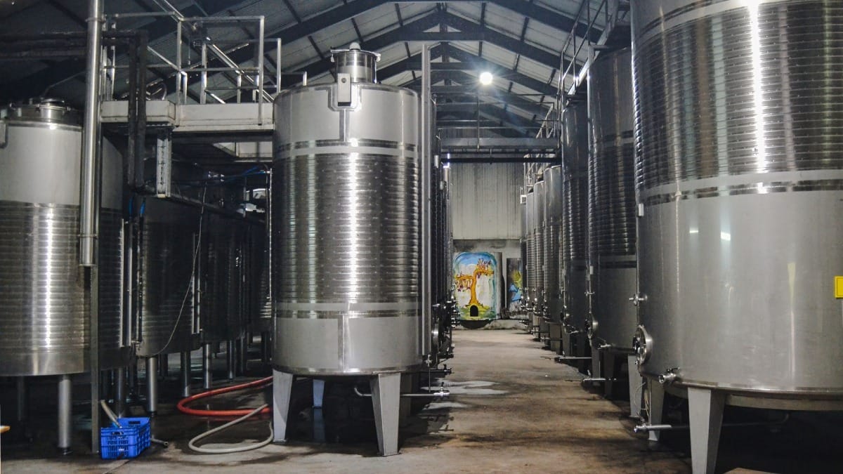 Tanques de producción y almacenamiento de Vinho Verde | Cooltour Oporto