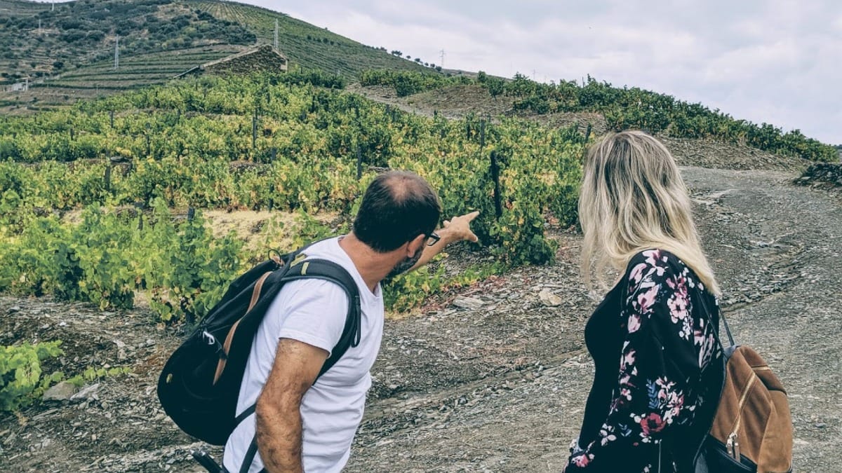 fhh3 douro valley guided walking experience