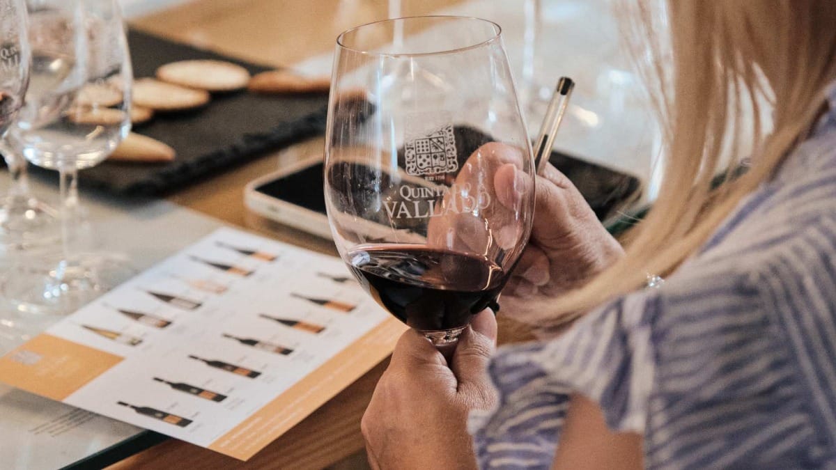 Convidado segurando uma taça de vinho enquanto lê as notas de degustação na experiência de degustação privada da Quinta do Vallado