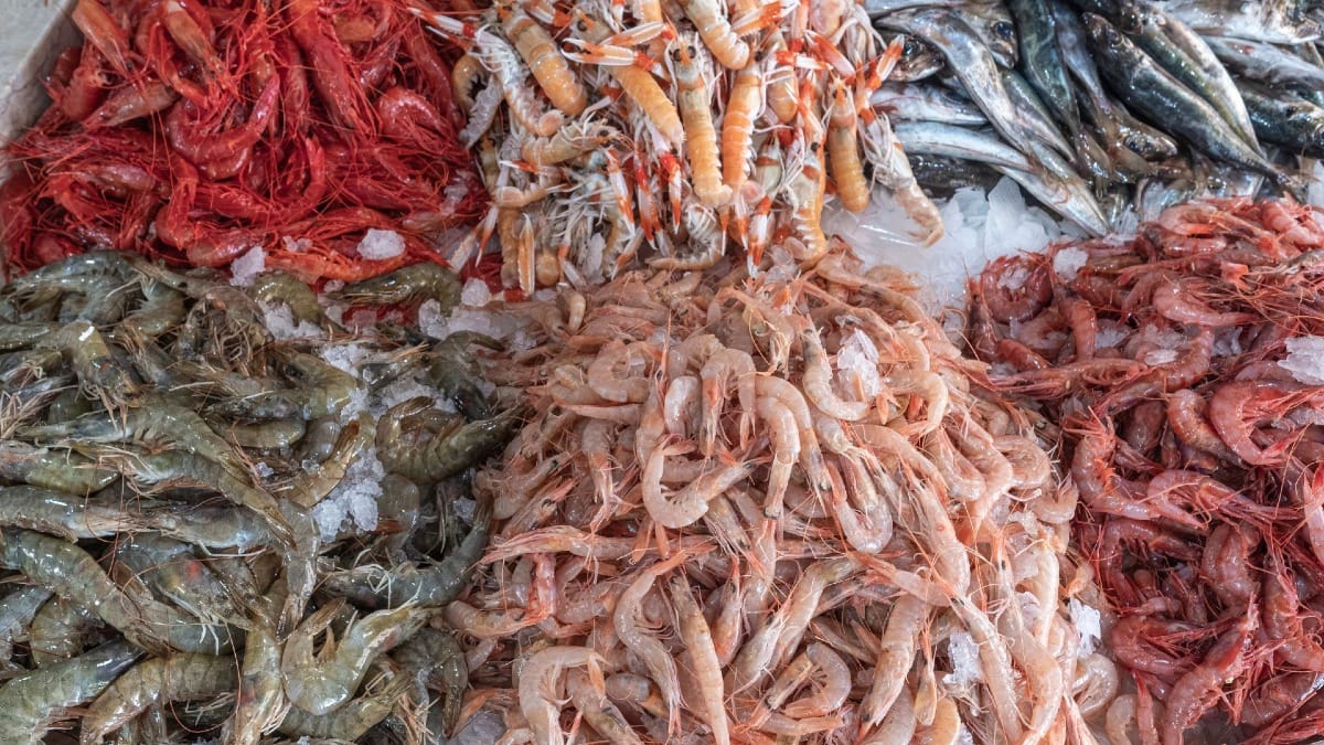 Intérieur du marché aux poissons de Lagos avec des étals de fruits de mer frais et des vendeurs locaux