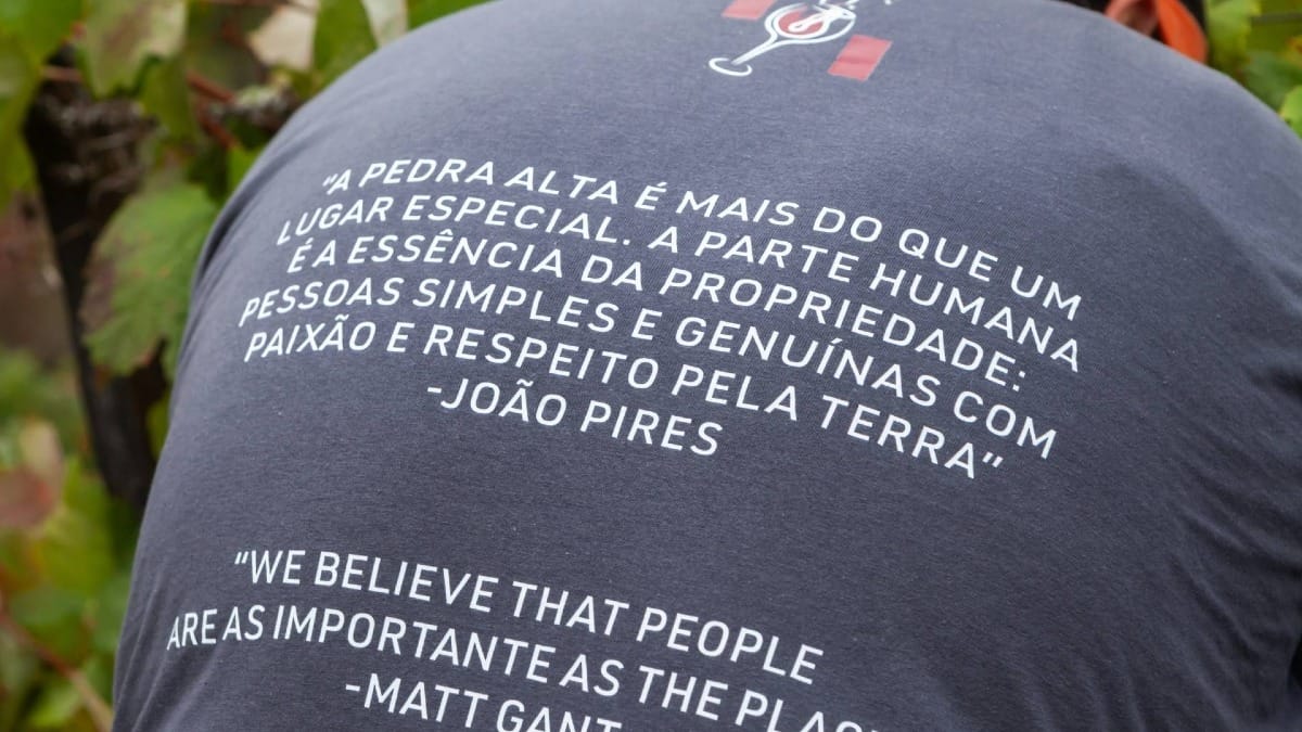 Discover the values and traditions that inspire Quinta da Pedra Alta's wines