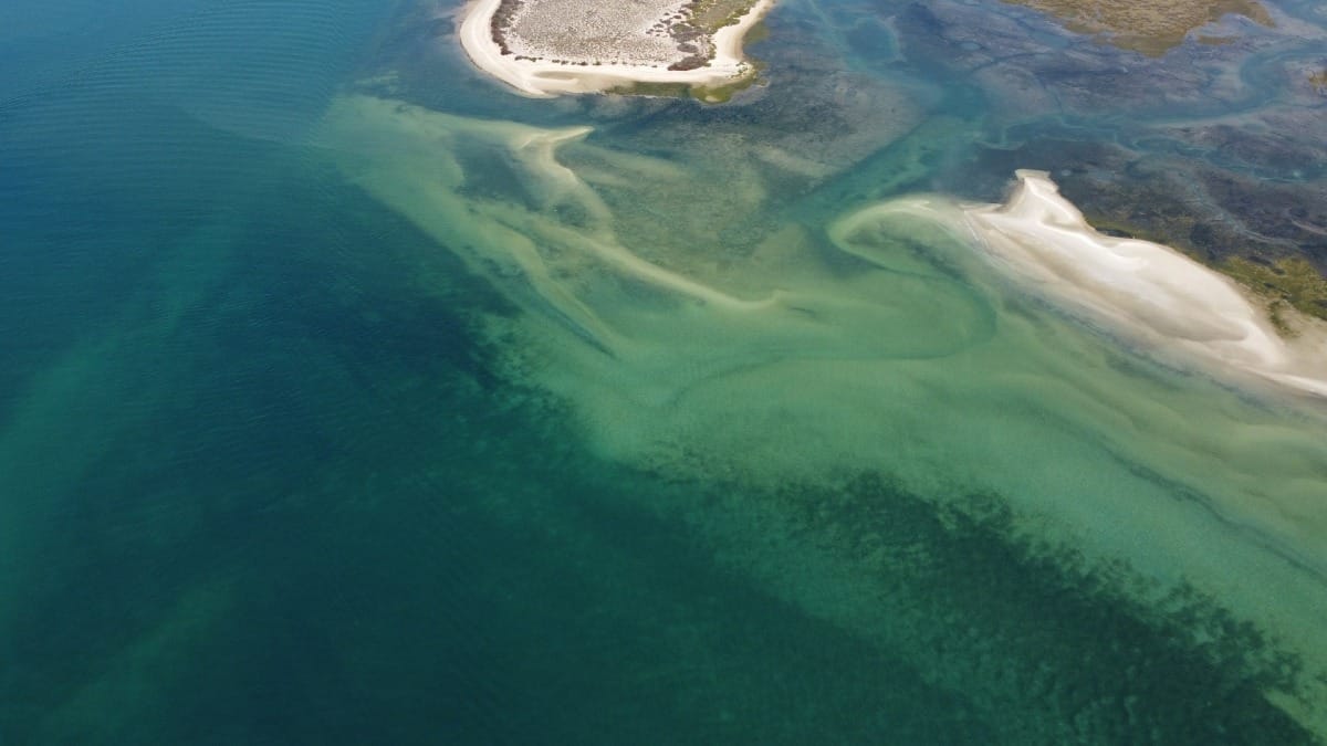 h4uw faro boat tour ria formosa protected area half day