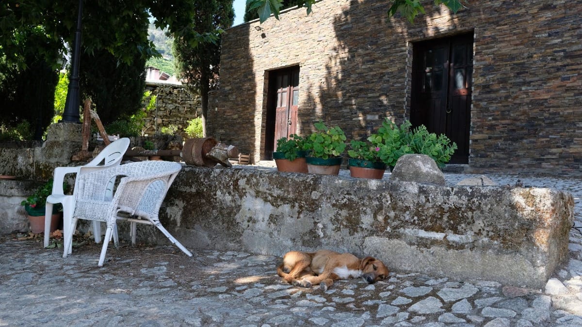 Quinta ou propriedade vinícola familiar com arquitetura tradicional, rodeada por vinhedos no Vale do Douro, durante um tour guiado com a Cooltour Oporto
