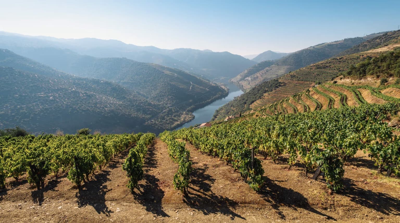 Qc3W douro valley best tours