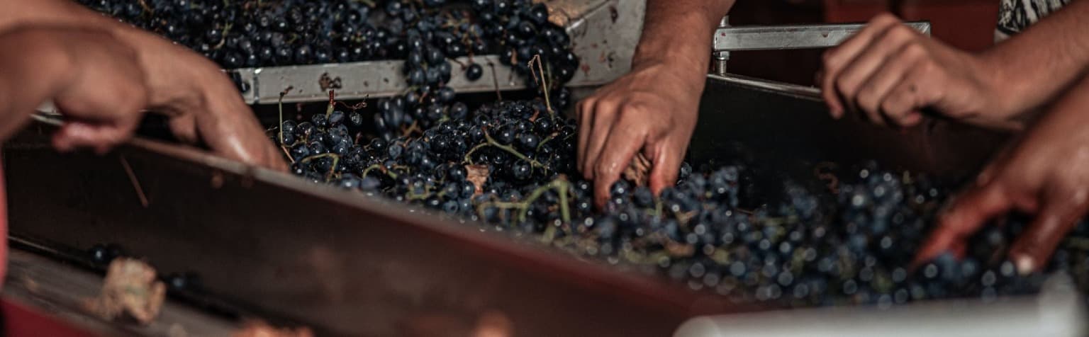 STUL 01HQRNKXVSWFKP69K7ADVH8FQ4