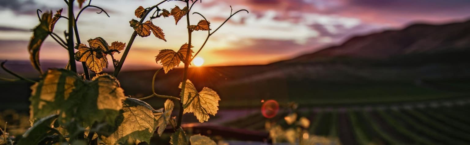 kkkb 01HQRNKXVY5TX36QTP0MV0WPV8