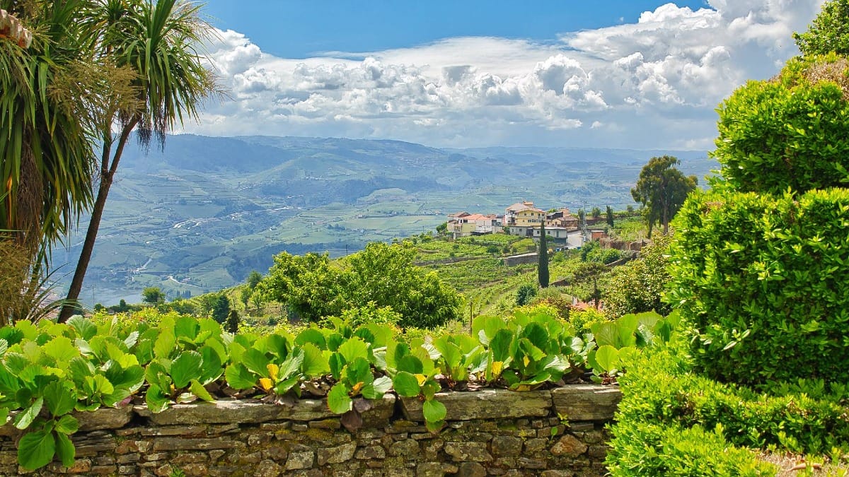The landscapes surrounding the estate are as memorable as the food and wine