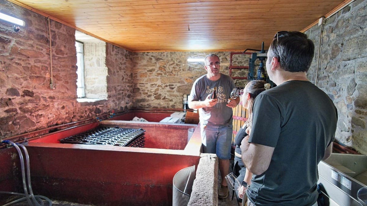 En el interior de la histórica bodega de Casa do Poço: aprenda cómo se elaboran los vinos del Duero.