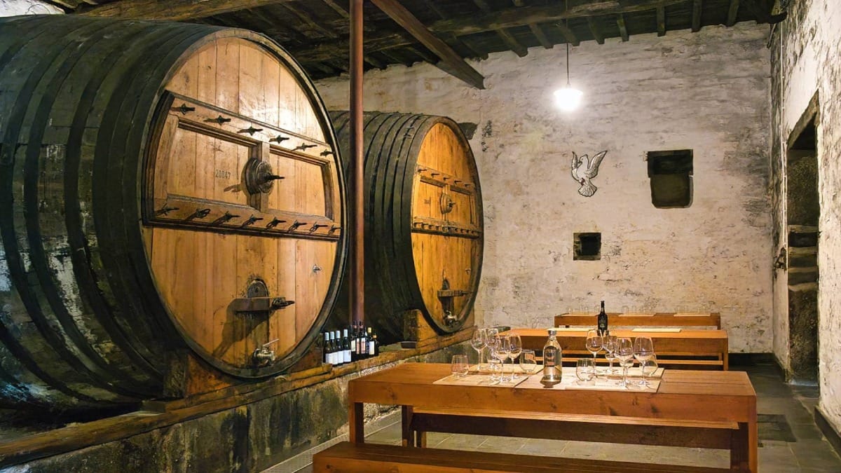Visitez la cave où les vins du Douro et les portos vieillissent au fil du temps