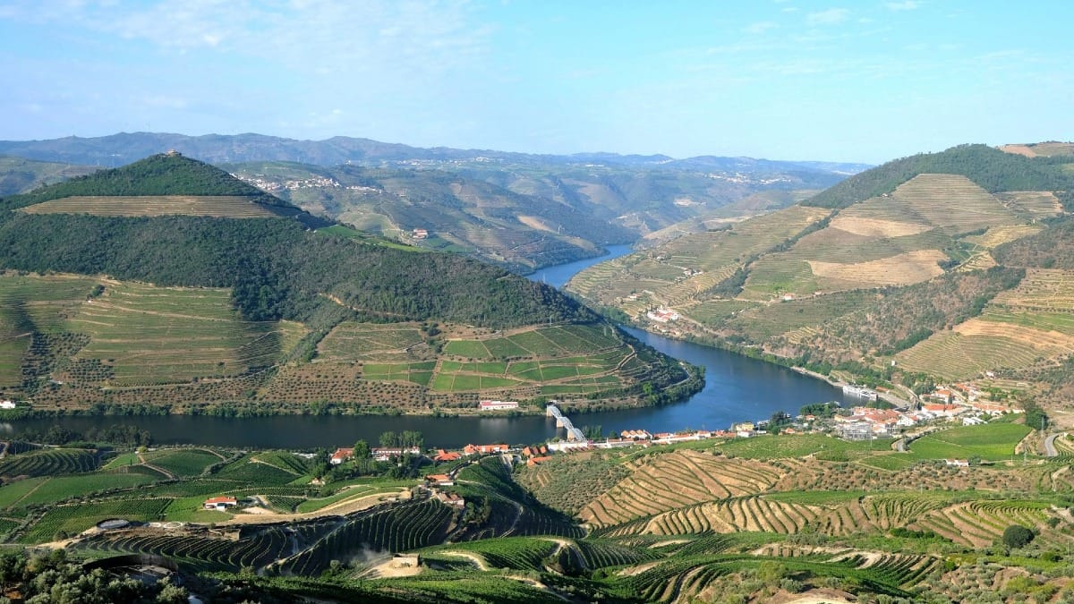 Vista panorâmica a partir do miradouro de Casal de Loivos sobre vinhedos e o Rio Douro durante um tour guiado pelo Vale do Douro com a Cooltour Oporto