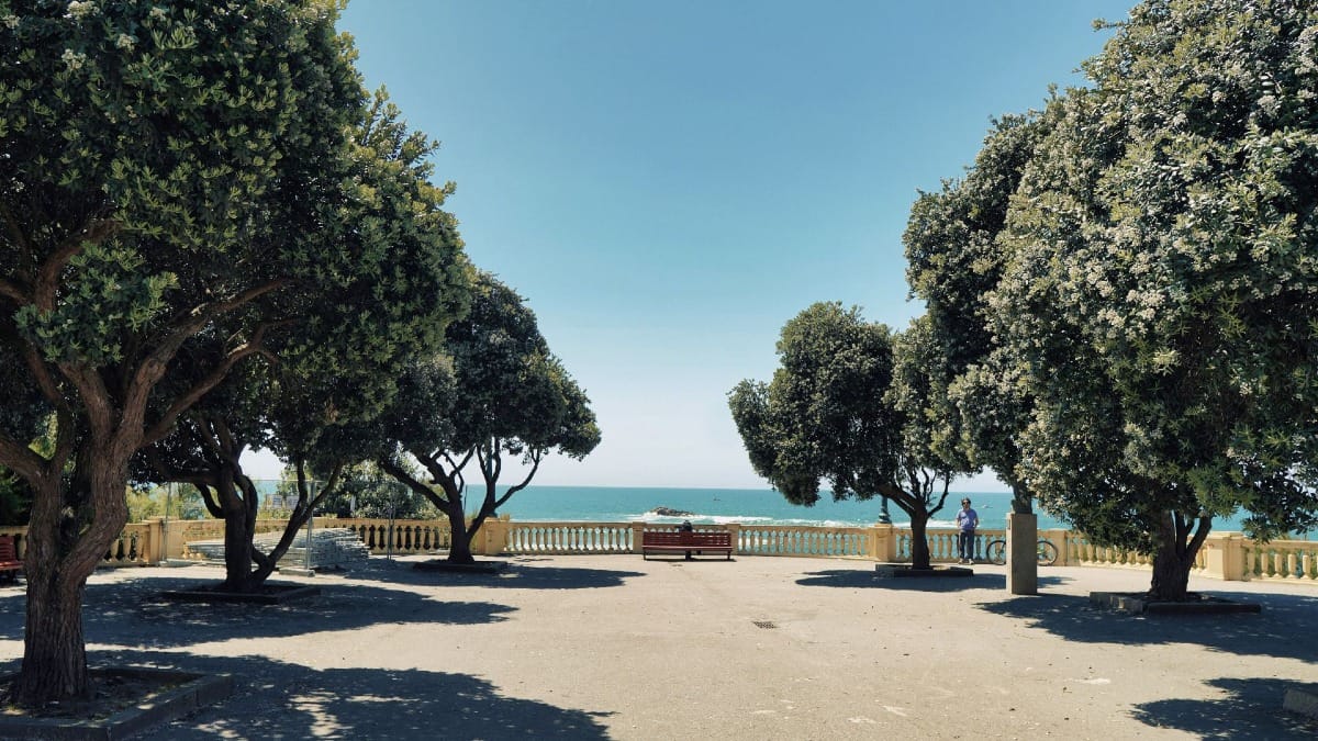 Scène du tour en vélo électrique le long de la côte de Porto, entourée de grands arbres et offrant des vues spectaculaires sur l’océan Atlantique