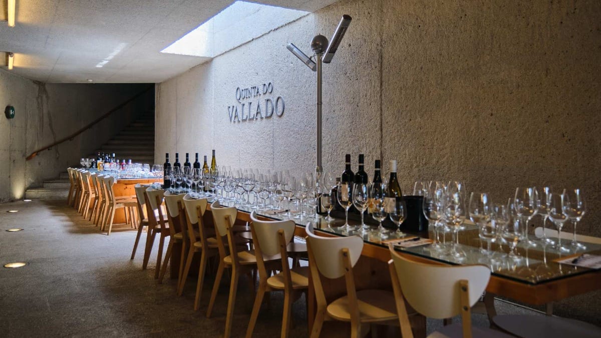 Salle de dégustation moderne à Quinta do Vallado avec une longue table dressée pour une dégustation haut de gamme de vins de la vallée du Douro