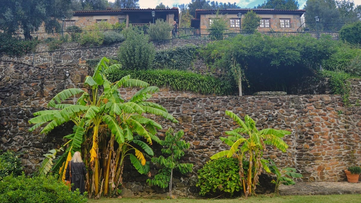 Vue unique d'une exploitation de vinho verde avec ses terrasses et jardins | Cooltour Oporto