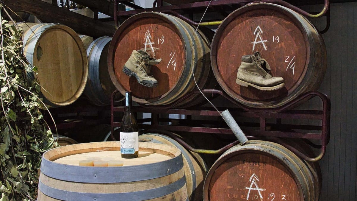 Barricas añejas y encanto rústico en la bodega Alto da Serra
