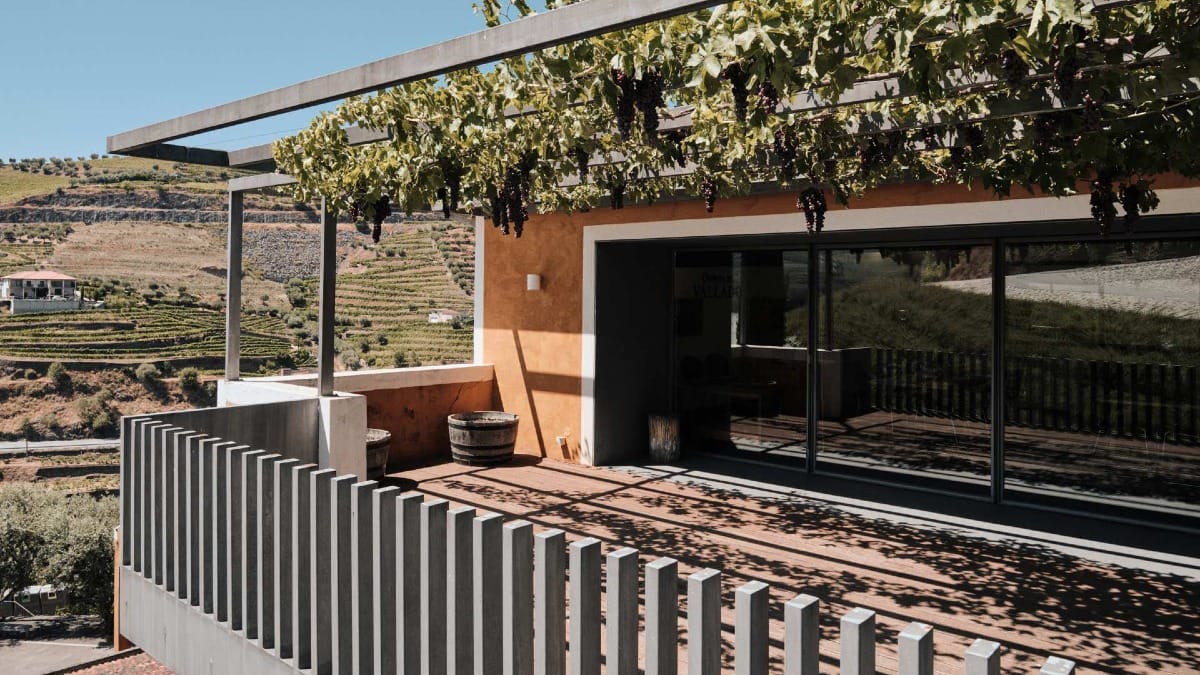 Terraço moderno com cobertura de videiras e vista para os vinhedos na Quinta do Vallado, no Vale do Douro