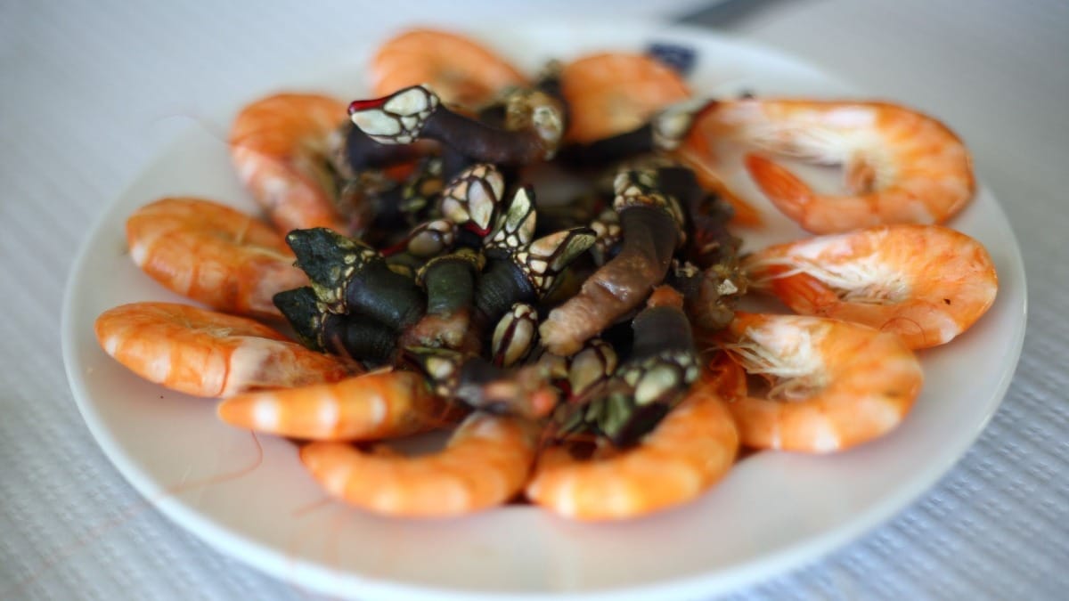 Bandeja de mariscos del Algarve con percebes y gambas frescas
