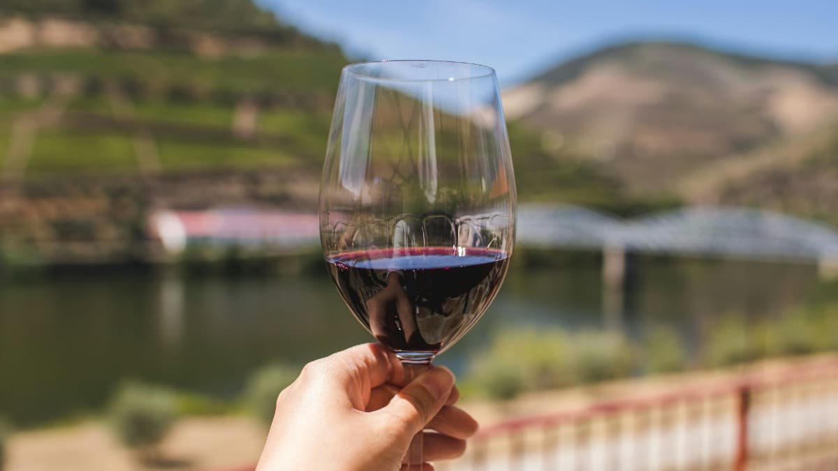 Tour a Três Quintas no Vale do Douro