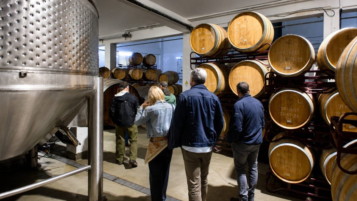 Explore where Quinta da Pedra Alta wines mature before reaching the bottle