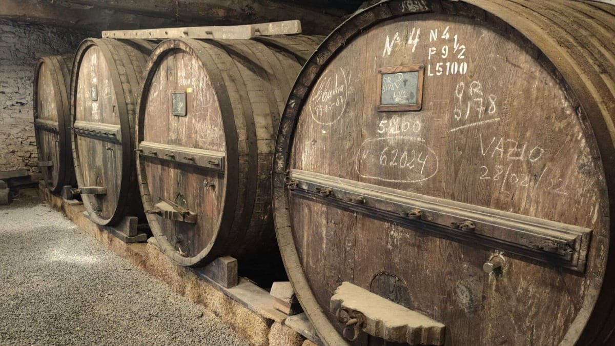 Old Port wine barrels at Quinta dos Castelares during a guided Douro Valley Wine Tour from Porto with Cooltour Oporto