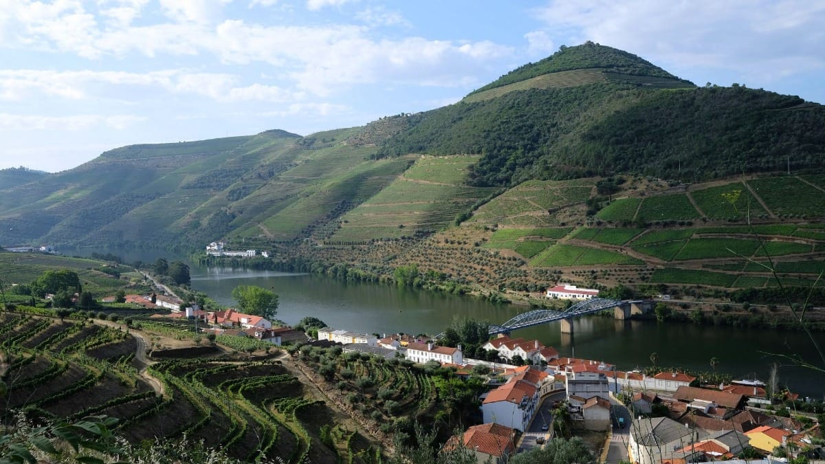 Vista panorâmica sobre a margem esquerda do Pinhão e a sua ponte histórica durante um tour guiado pelo Vale do Douro com a Cooltour Oporto
