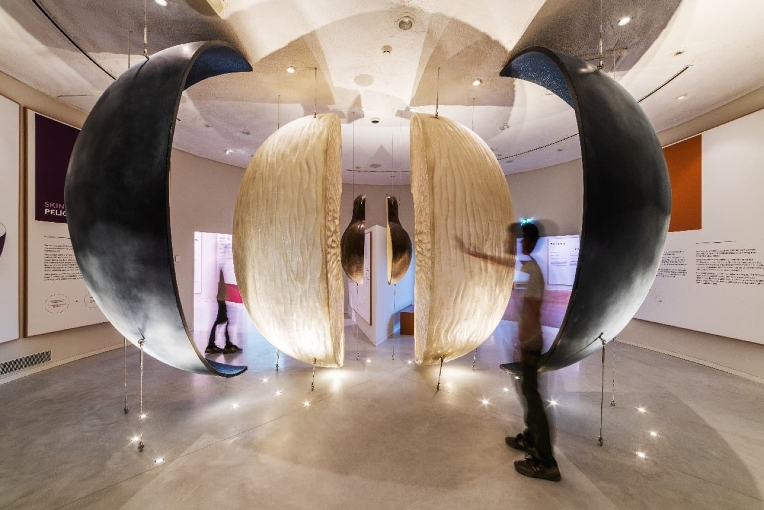 Plongez dans le processus complexe de la fabrication du vin, de la terre au raisin, au musée de l'Expérience du vin.