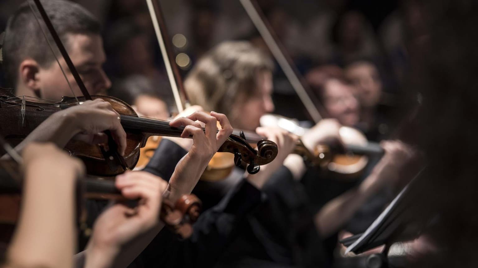 Músicos interpretando un concierto orquestal en directo, similar a los espectáculos navideños gratuitos que se celebran en la Avenida dos Aliados de Oporto.
