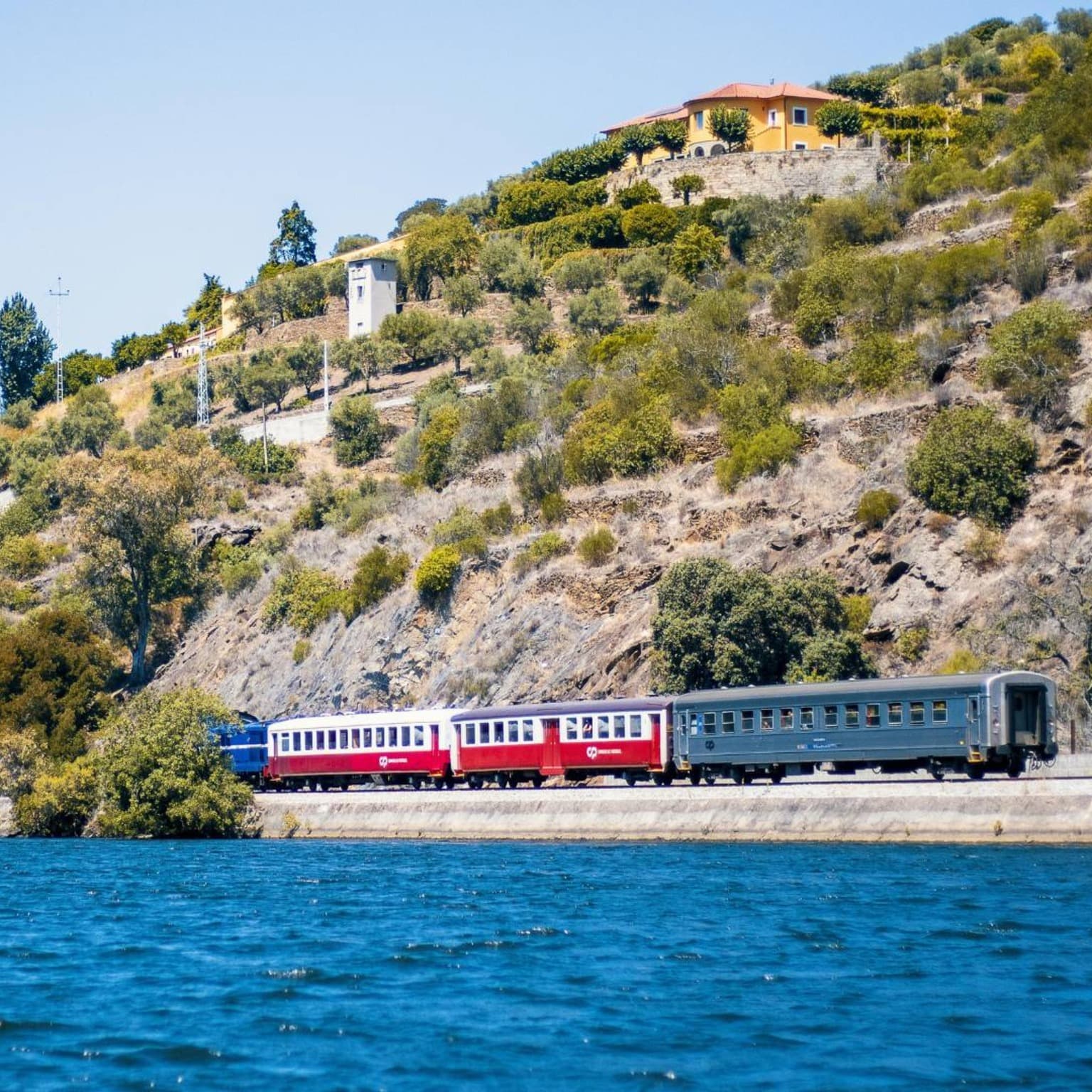Valle del Douro desde Oporto: ¿Qué es Mejor – Tour Guiado o Tren?