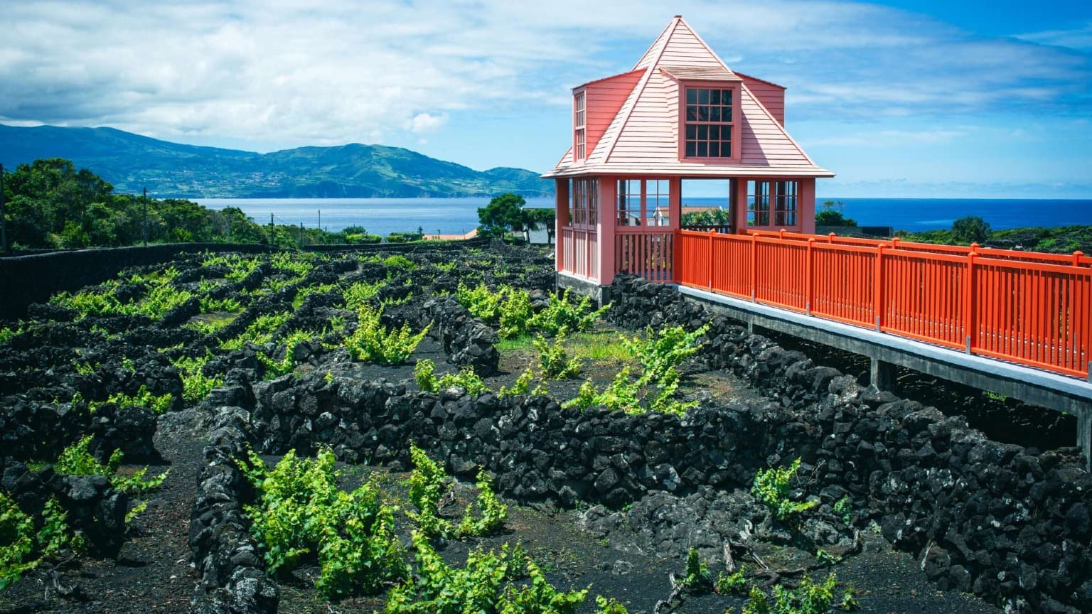 The Ultimate Guide to the 14 Official Wine Regions of Portugal