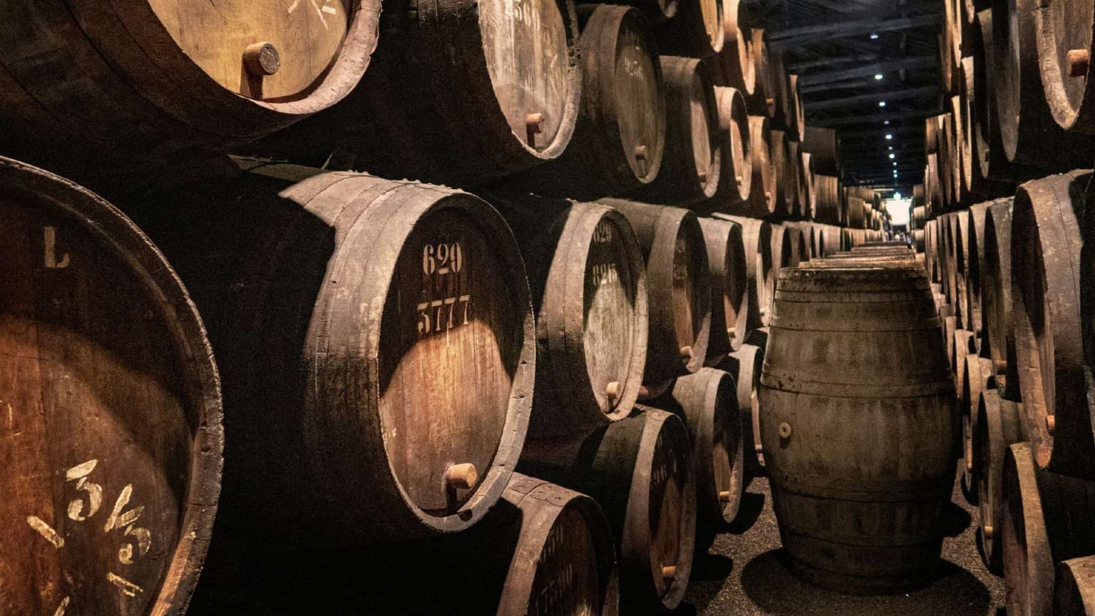 Adega tradicional de vinho do Porto em Vila Nova de Gaia com fileiras de barris de madeira utilizados para o envelhecimento do vinho