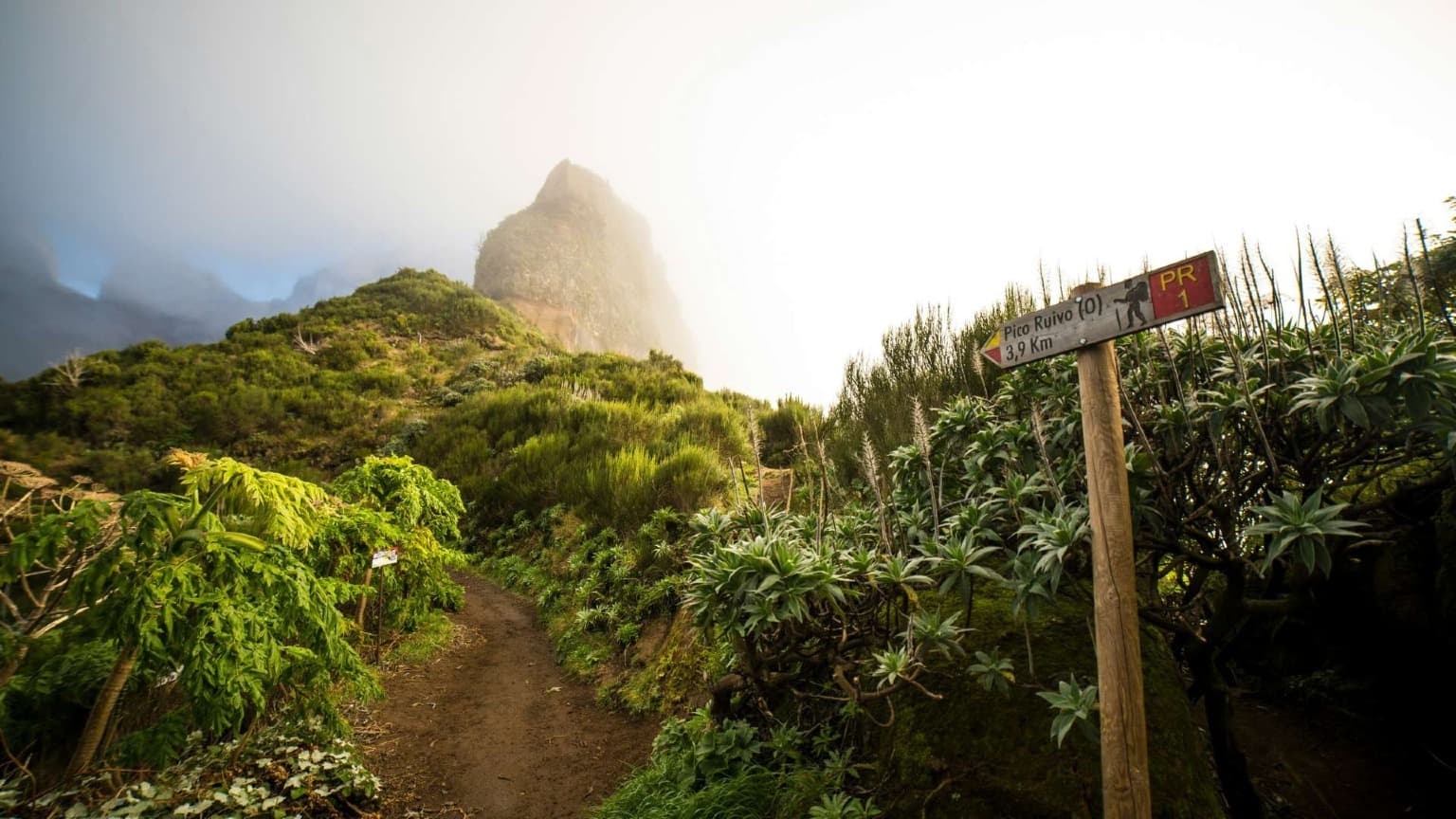 Sentier de montagne reliant Pico do Arieiro à Pico Ruivo, entouré de pics volcaniques spectaculaires