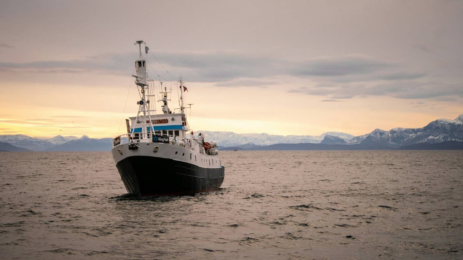 Modern Norwegian fishing boat harvesting Atlantic cod in the cold waters of northern Norway