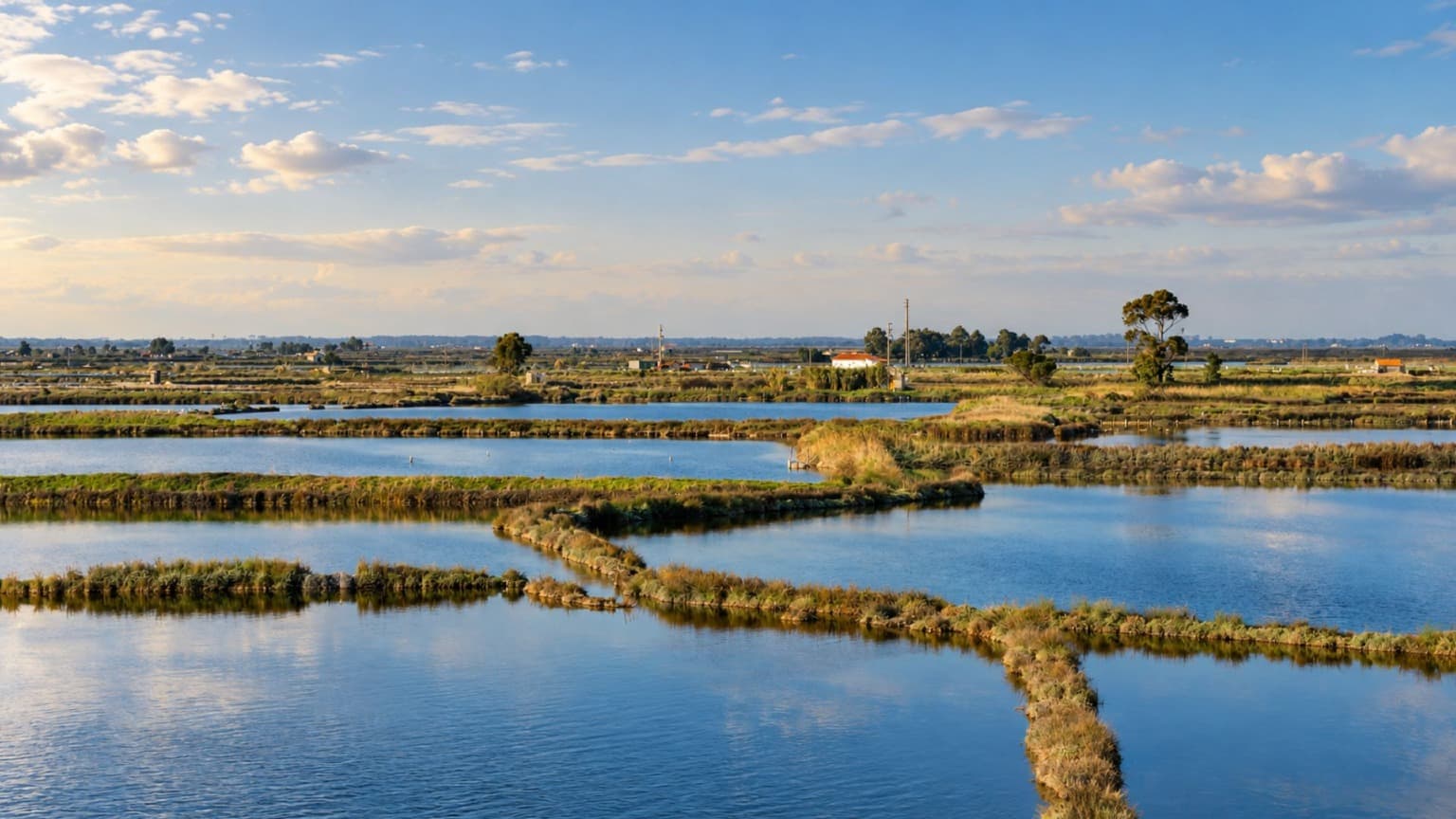 Salinas tradicionales con charcas de agua poco profunda y montículos de sal en la Ría de Aveiro
