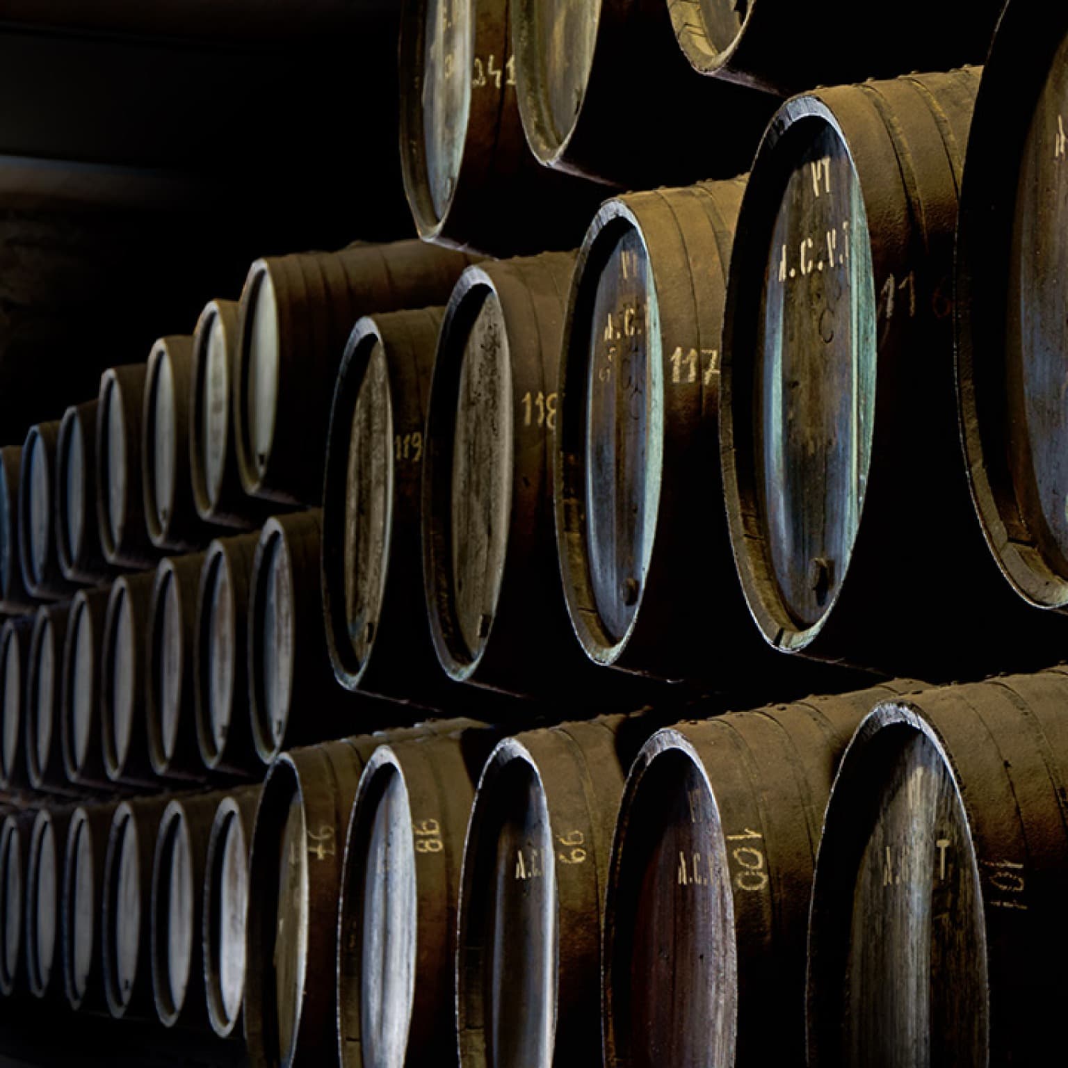 Le guide complet 2025 des caves à vin de Porto