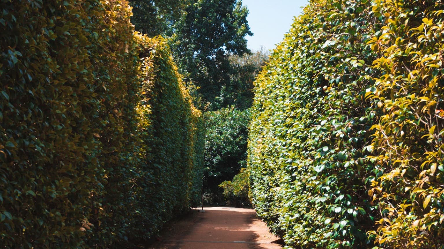 Imagen del Jardín Laberíntico del Jardín Botánico de Oporto