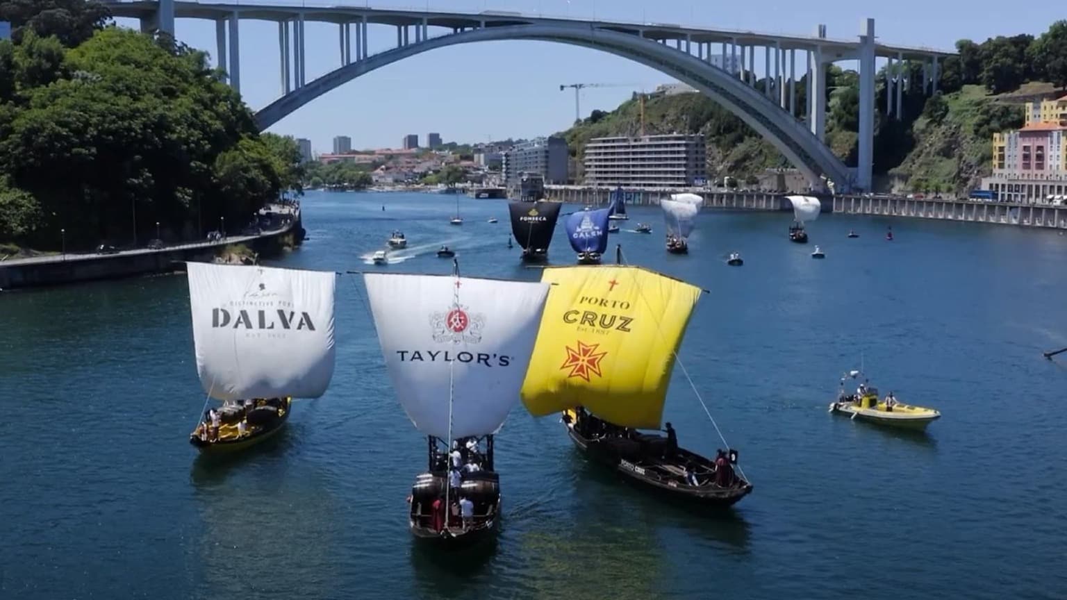 Rabelo boats with sails from various Port wine brands during the Regatta on the Douro River, with the Arrábida Bridge in the background.
