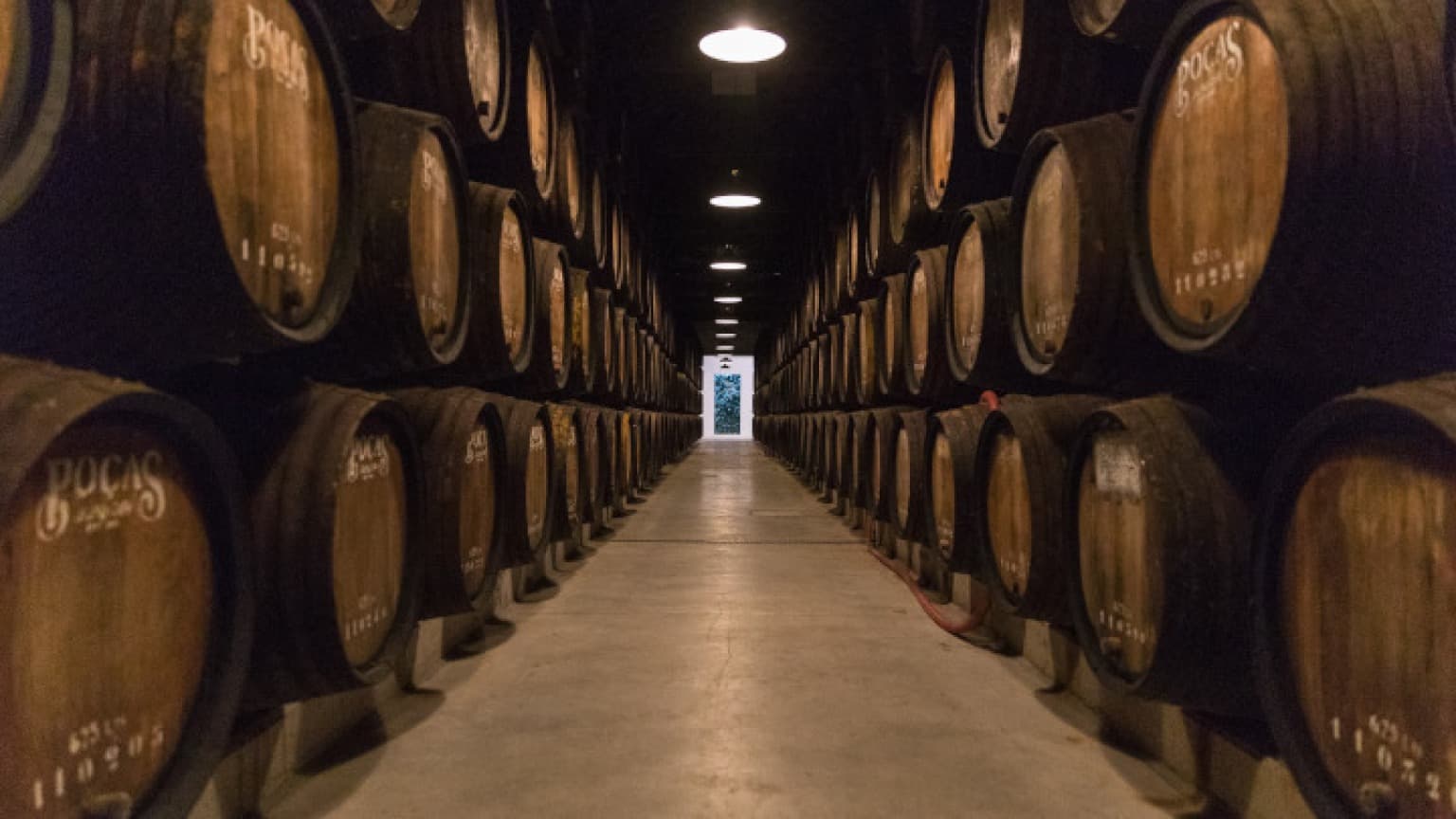 Image de la cave à vin de Porto Poças (Facebook)