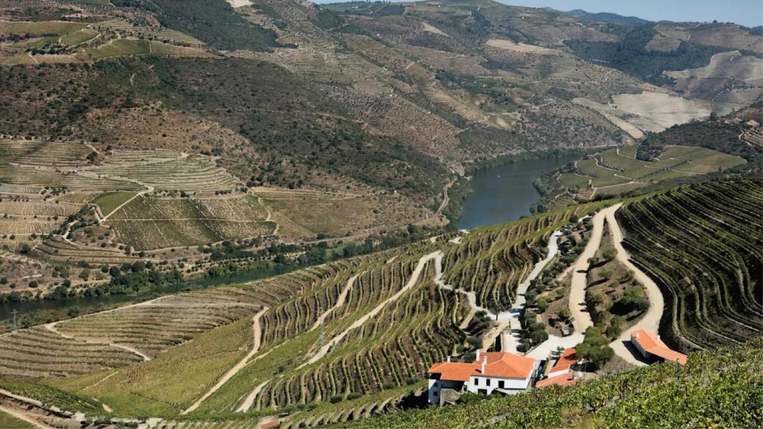 Foto de Quinta da Gricha, alojamiento sostenible en valle del Duero - Ervedosa do Douro