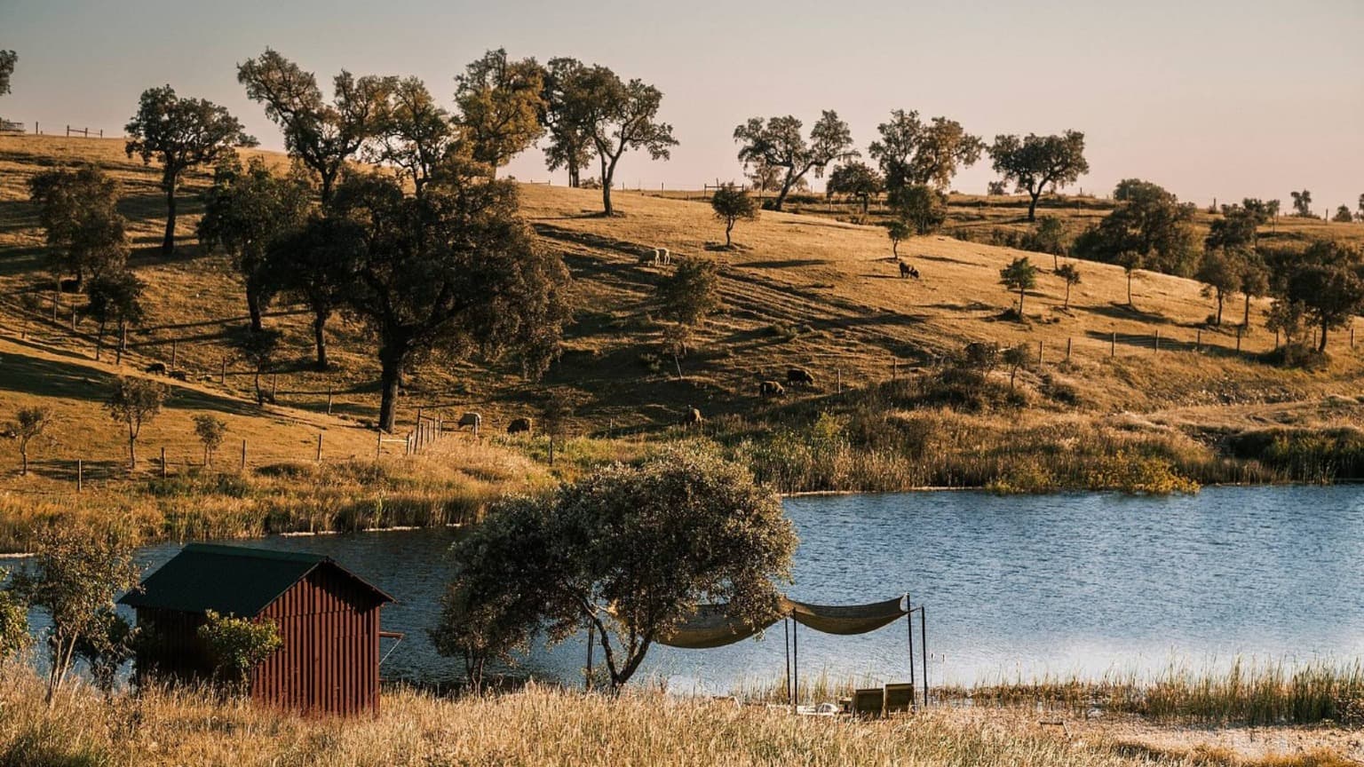 Foto de Cucumb, una estancia sostenible en Santa Susana (Alentejo occidental)